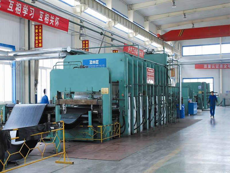 Double vulcanizer